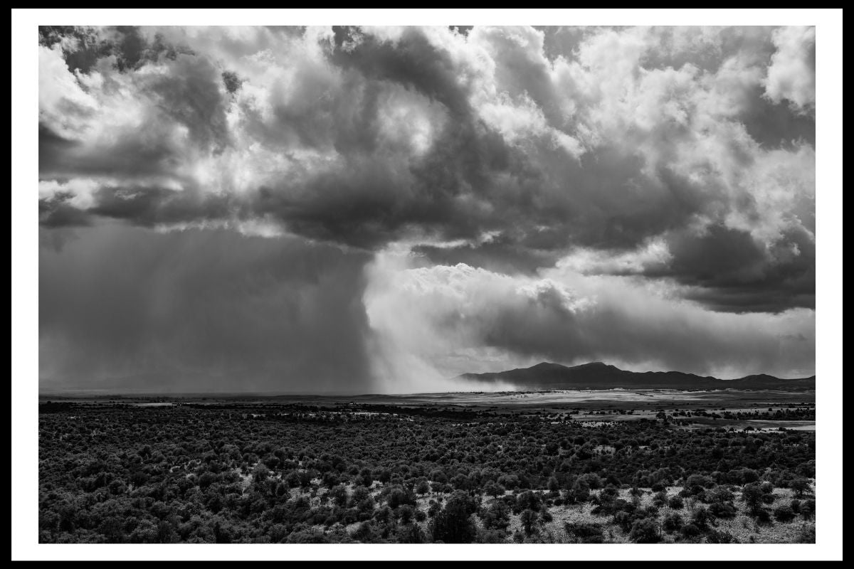 Black and White Storm II