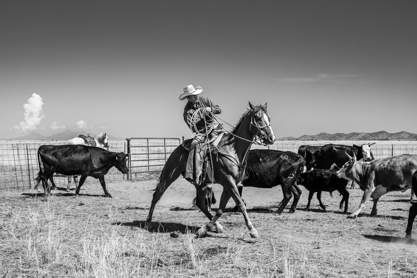 Cowboy Ballet