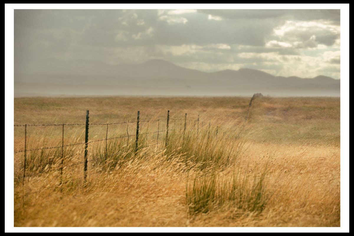 Rain Drops and Fence Lines