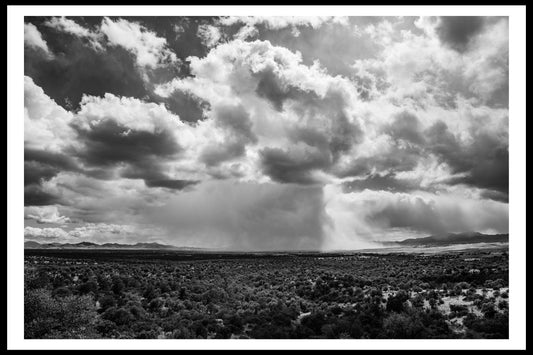 Black and White Snow Storm